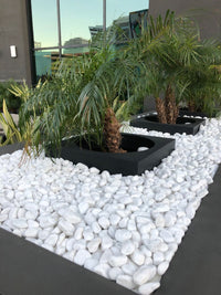 White Pebbles