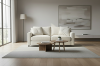 2 seat empty sofa in a room