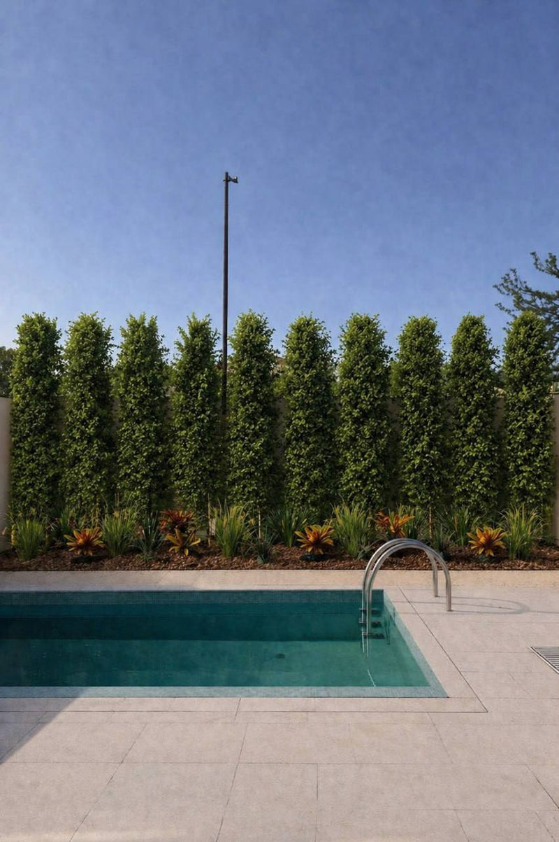 10m Privacy Garden Set