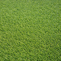 Artificial Grass AXX