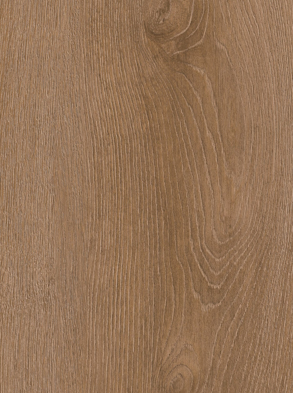 Warm Oak Glow