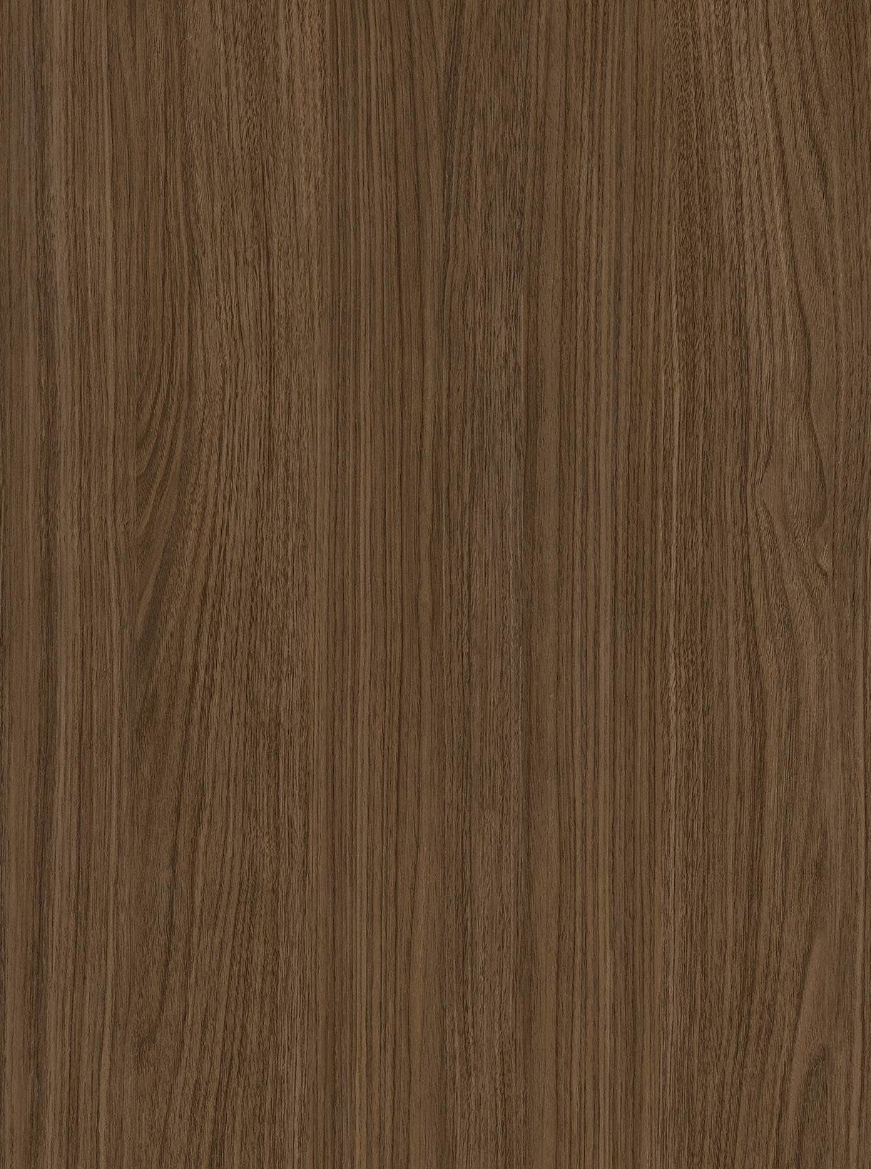 Midnight Walnut