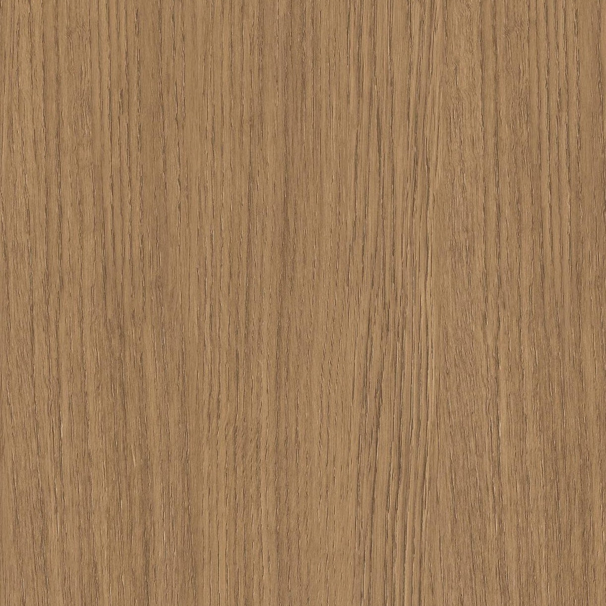 Golden Field Oak