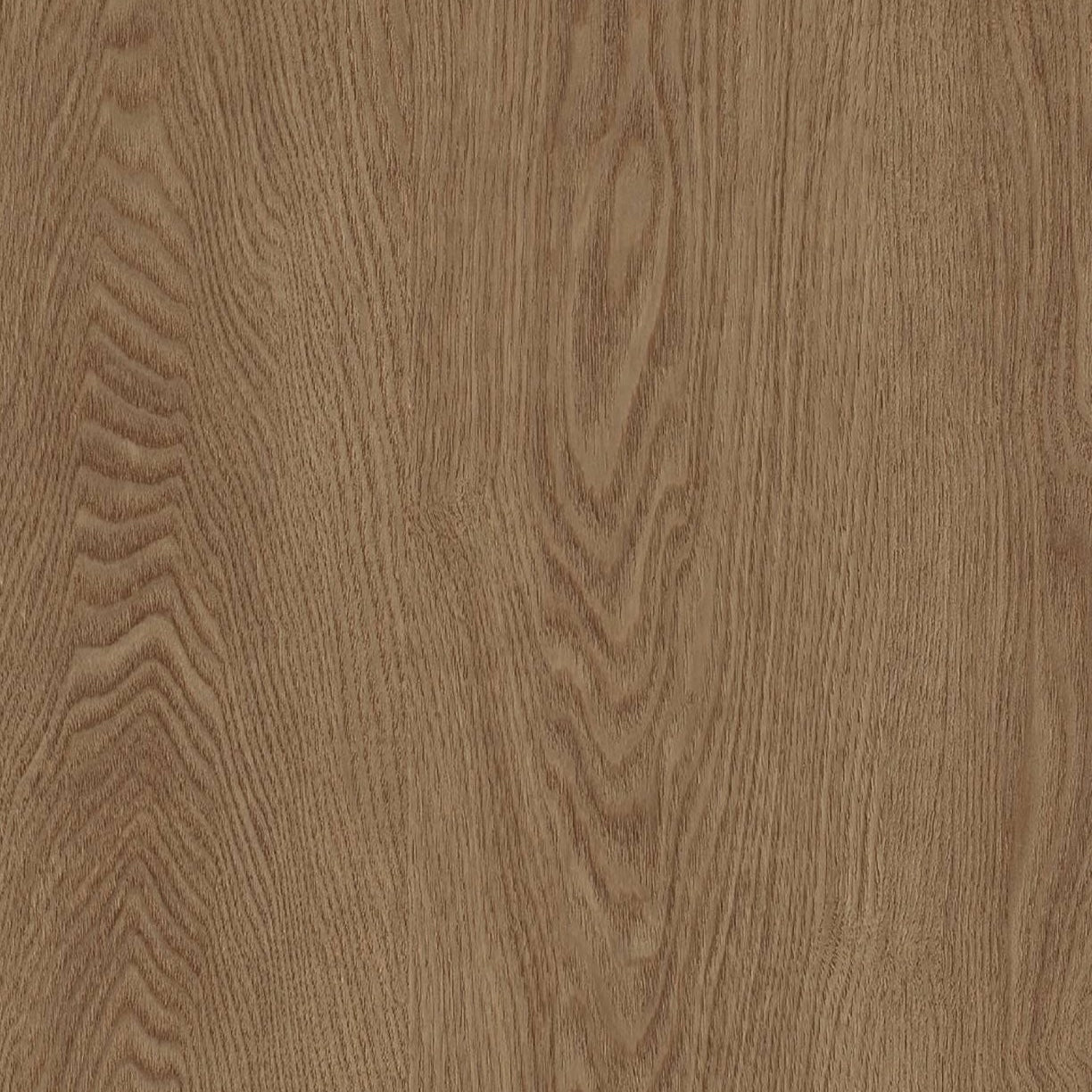 Tranquil Timber