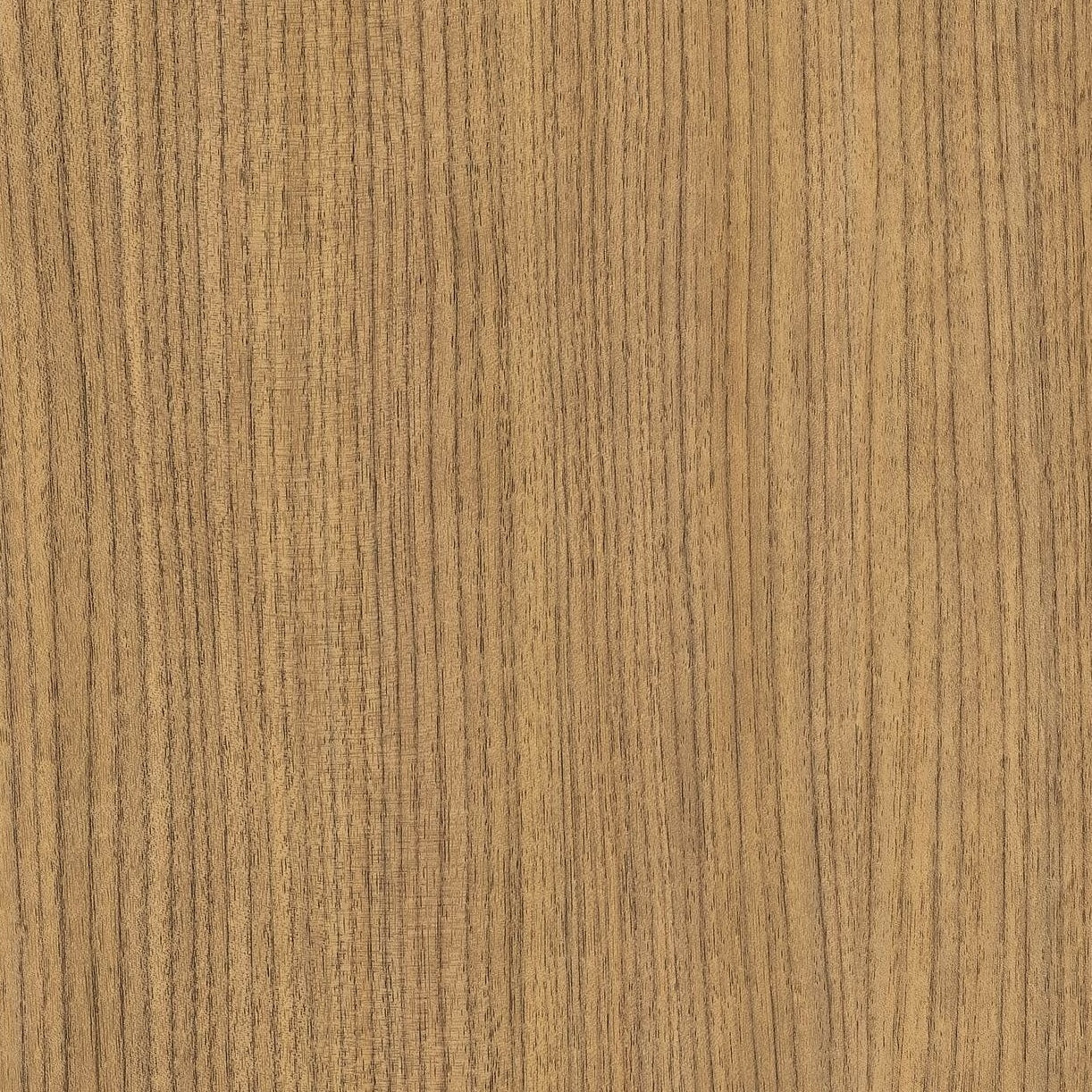 Maple Honey