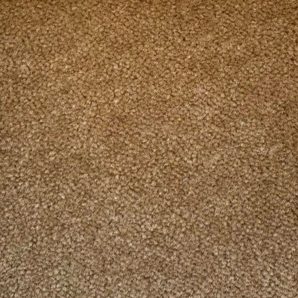 Eleganza Carpets