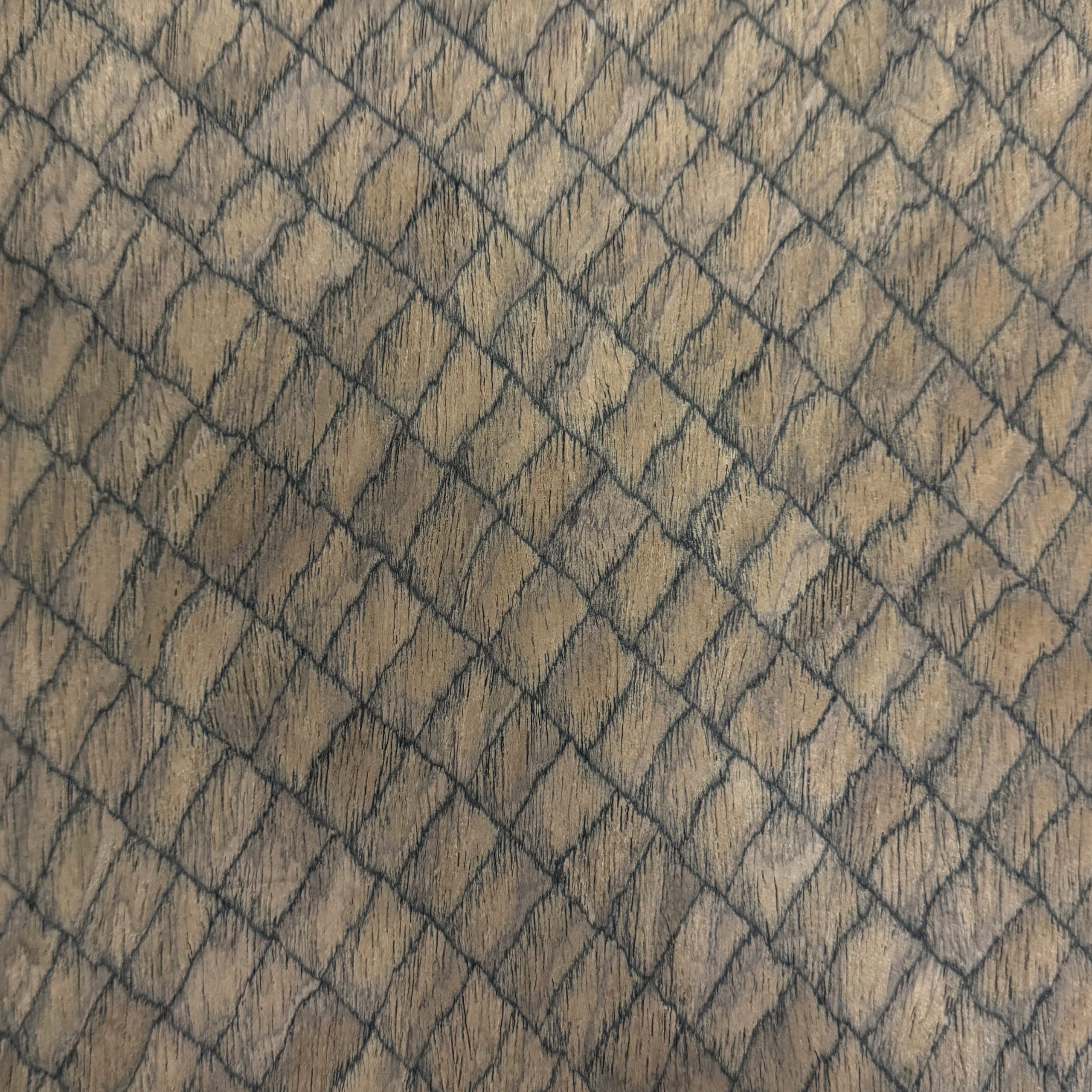 Tortoise Shell · Panel Format