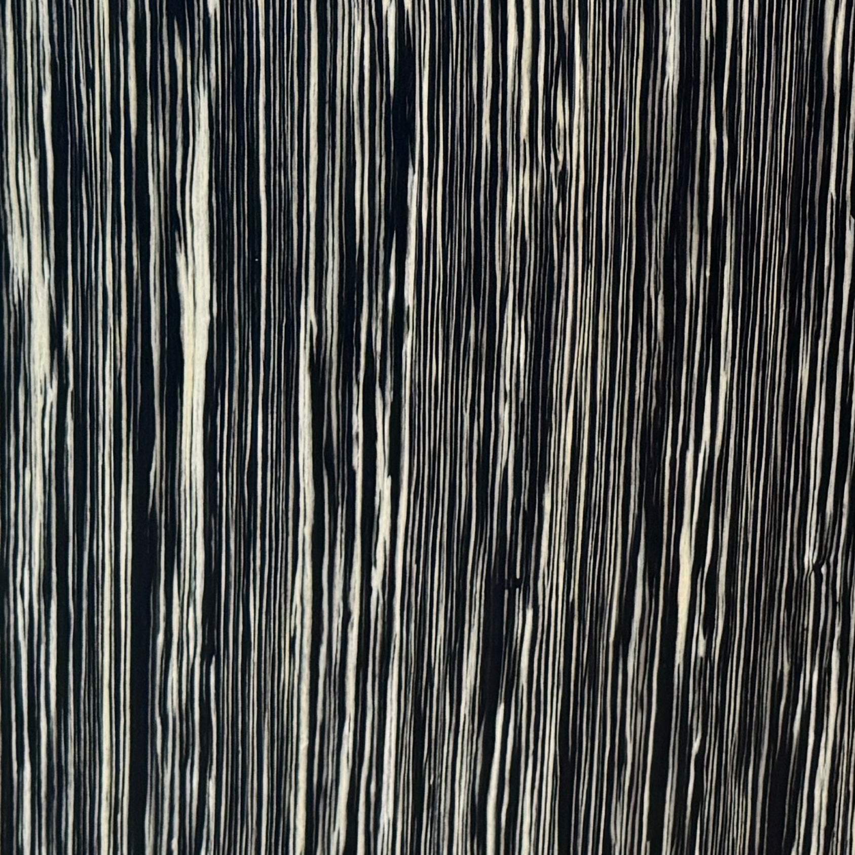 Andaman Island Vine Tree · Panel Format
