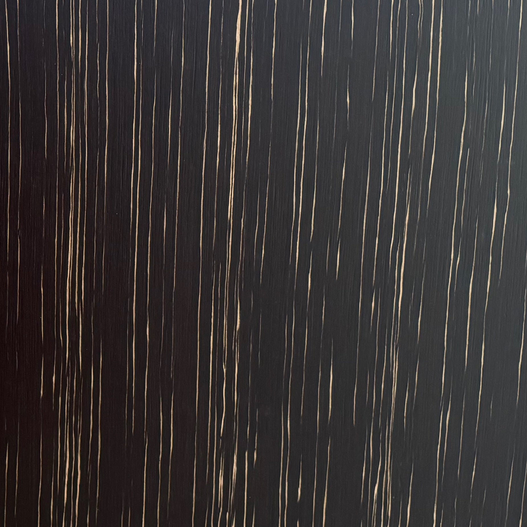 Black Ebony · Panel Format