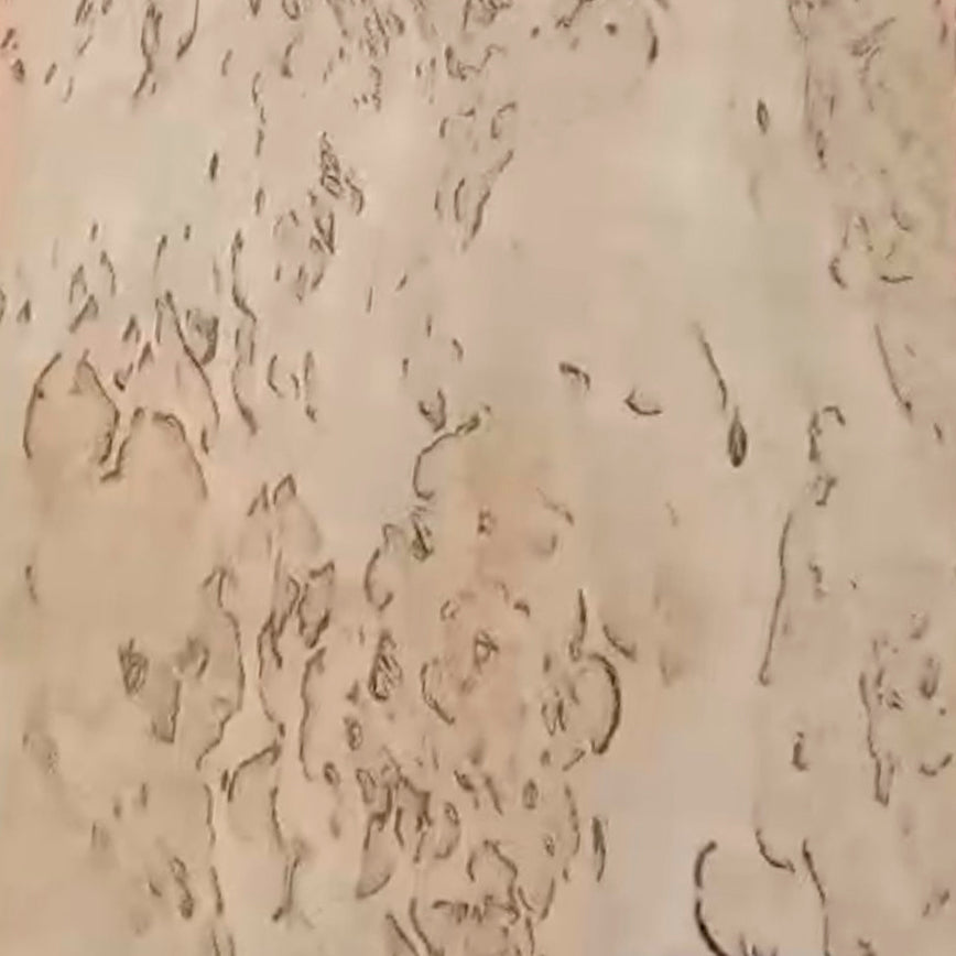 Birch Burl · Panel Format