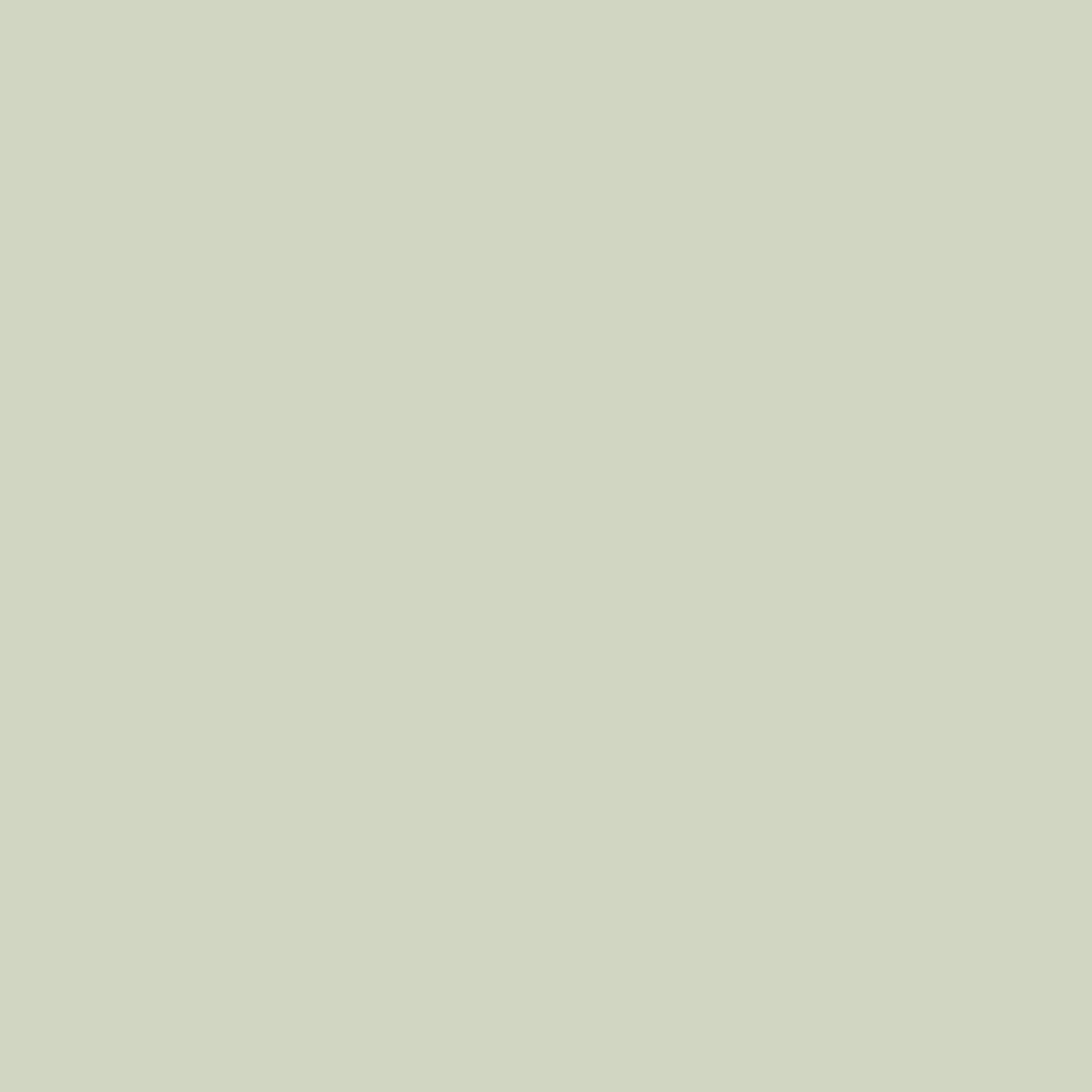 Canvas Ash