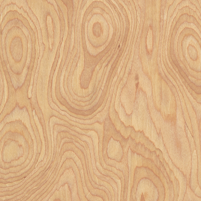 Cherry Burr · Panel Format