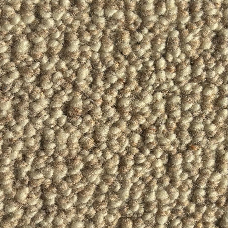 Berlin Carpets